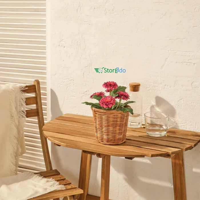 IKEA : FEJKA : Artificail Potted Plant - Chrysanthemums