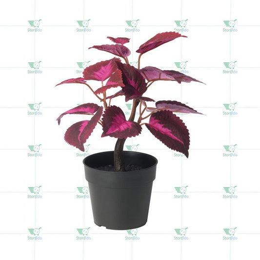 IKEA : FEJKA : Artificail Potted Plant - Painted Nettle