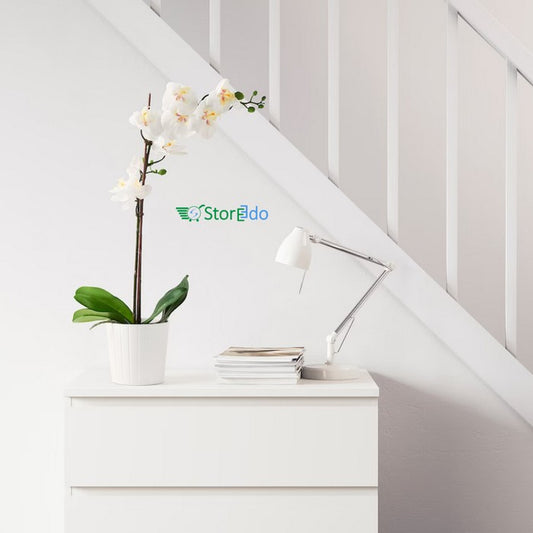 IKEA : FEJKA : Artificial Potted Plant : Orchid White