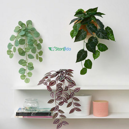 IKEA : FEJKA : Artificial Plant With Wall Holder - Set of 3