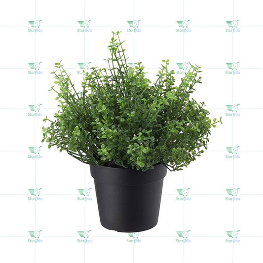 IKEA : FEJKA : Artificial Potted Plant - Baby Tears
