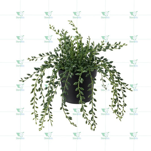 IKEA : FEJKA: Artificial Potted Plant - String of Beads