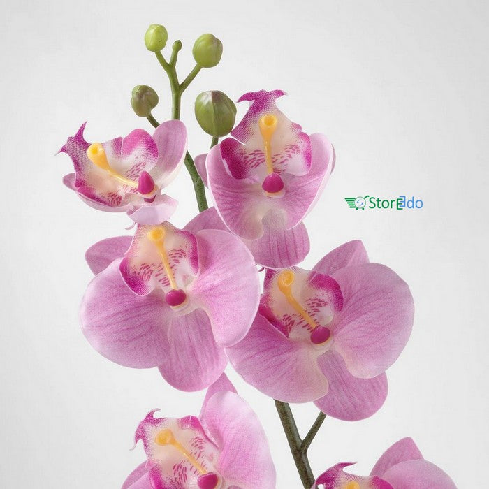 IKEA : SMYCKA : Artificial Flower - Orchid