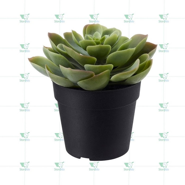 IKEA : FEJKA : Artifical Succulent Plant