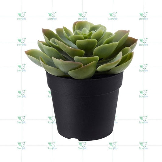 IKEA : FEJKA : Artifical Succulent Plant