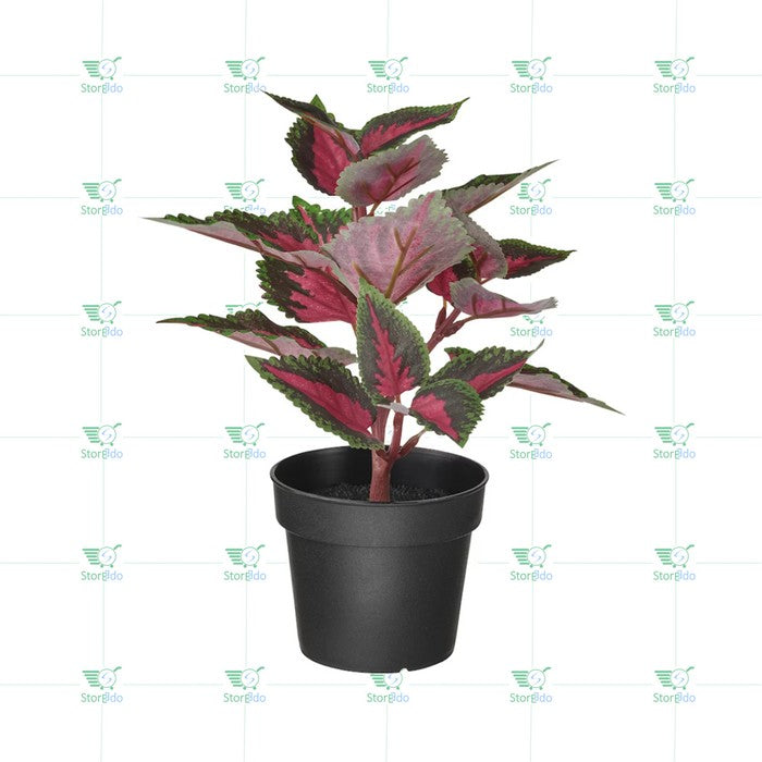 IKEA : FEJKA : Artificial Potted Plant - Painted Nettle