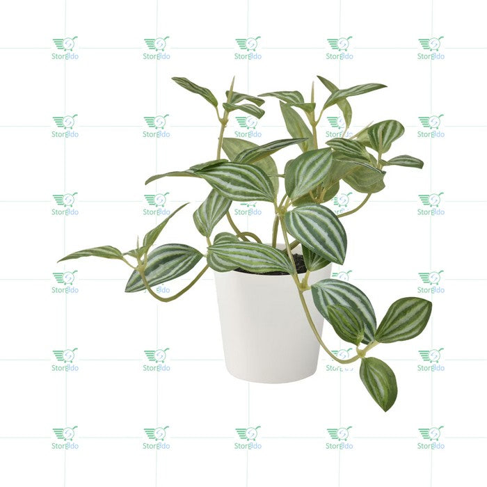 IKEA : FEJKA : Artificial Potted Plant - Peperomia
