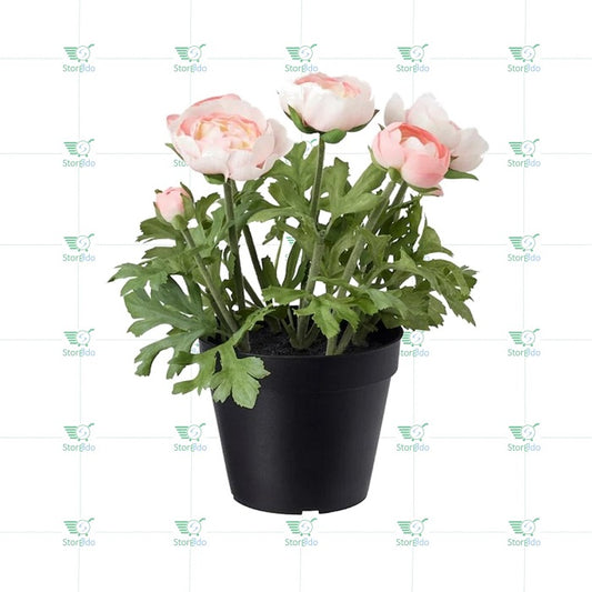 IKEA : FEJKA : Artificial Potted Plant - Ranunculus