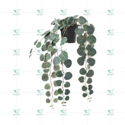 IKEA : FEJKA : Artificial Potted Plant - String of Hearts