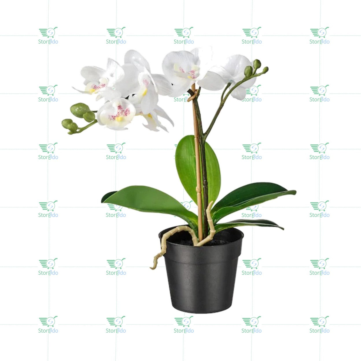 IKEA : FEJKA : Artificial potted plant - Orchid
