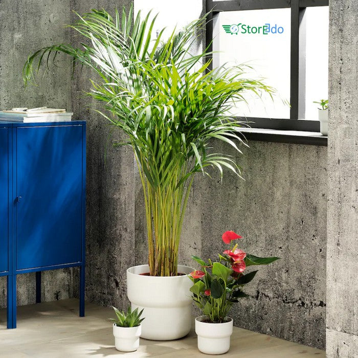 IKEA : FORENLIG : Plant Pot In/Outdoor