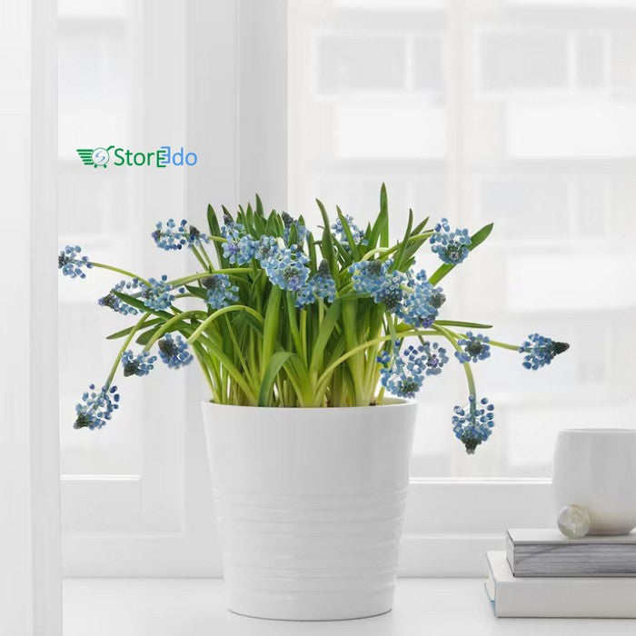 ikea muskot plant pot IKEA : MUSKOT : Plant Pot – Storeedo