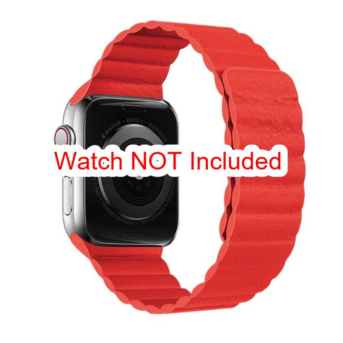 Apple Watch Straps : Magnetic Leather