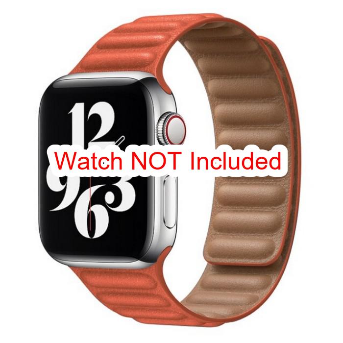 Apple Watch Straps : Link Leather