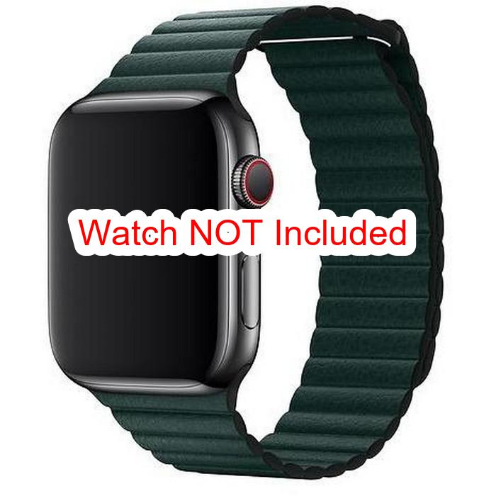 Apple Watch Straps : Magnetic Leather