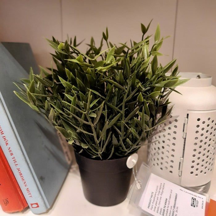 IKEA : FEJKA : Artificial Potted Plant - House Bamboo