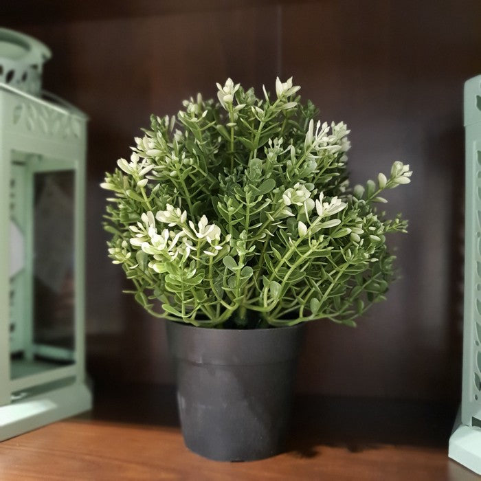 IKEA : FEJKA : Artificial Potted Plant - Thyme