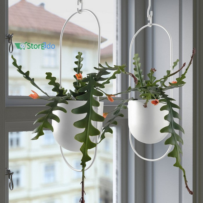 IKEA : FEJKA :  Artificial Potted Plant - In/Outdoor Sawcactus Hanging