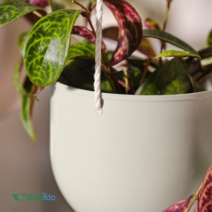 IKEA : DAKSJUS : Hanging Planter - Set of 2