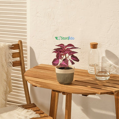 IKEA : FEJKA : Artificail Potted Plant - Painted Nettle