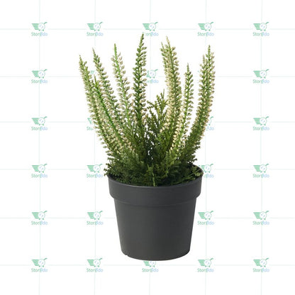 IKEA : FEJKA : Artificial Potted Plant - Heather