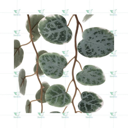IKEA : FEJKA : Artificial Potted Plant - String of Hearts