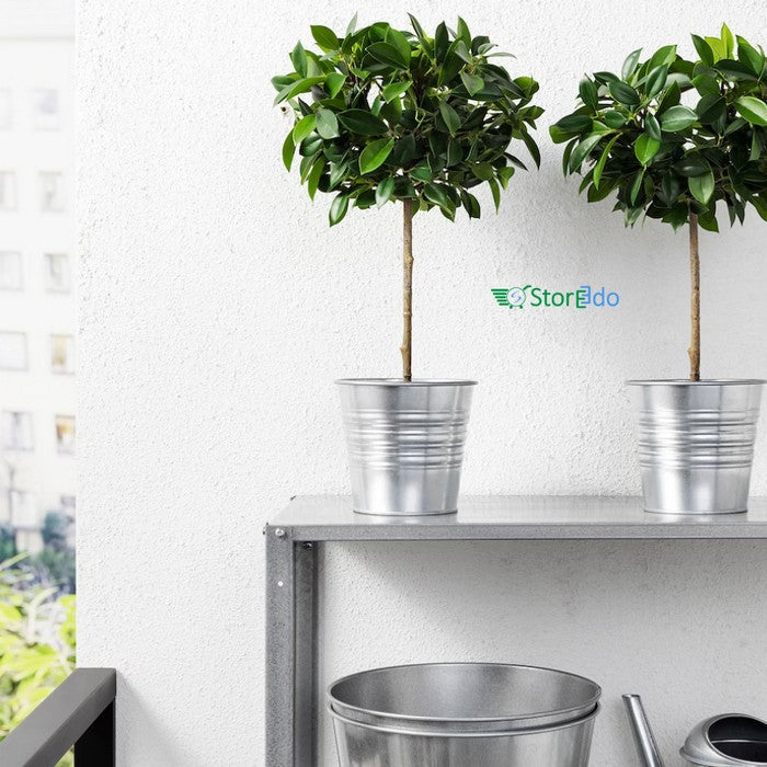 IKEA : FEJKA : Artificial Potted Plant , In/Outdoor Weeping Fig Stem