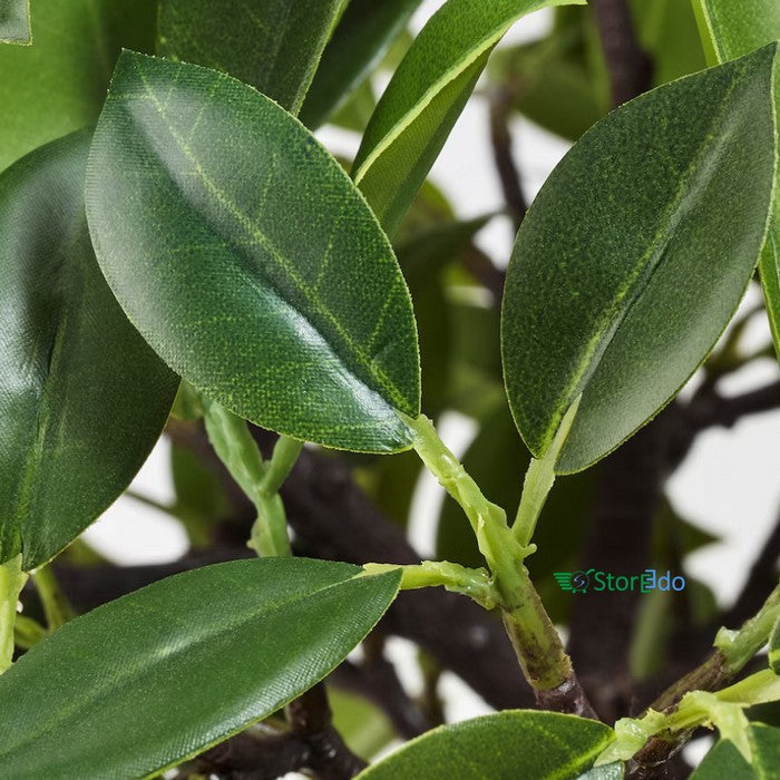 IKEA : FEJKA : Artificial Potted Plant , In/Outdoor Weeping Fig Stem