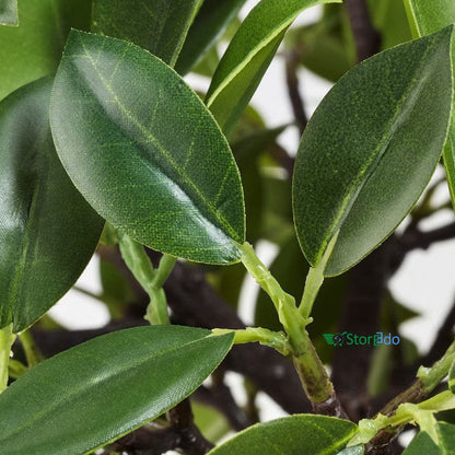 IKEA : FEJKA : Artificial Potted Plant , In/Outdoor Weeping Fig Stem