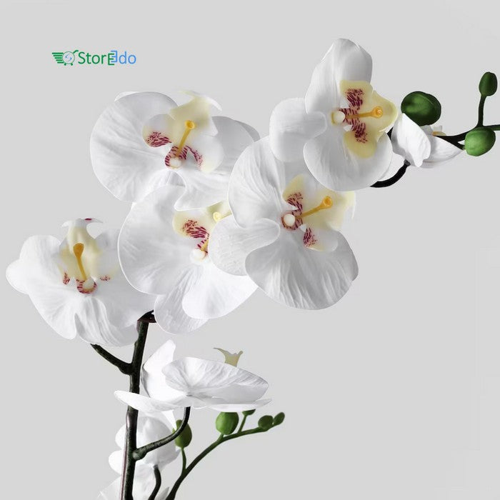 IKEA : FEJKA : Artificial Potted Plant : Orchid White