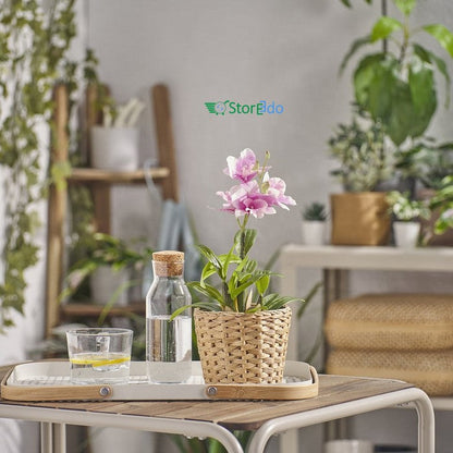 IKEA : FEJKA : Artificail Potted Plant - Noble Dendrobium