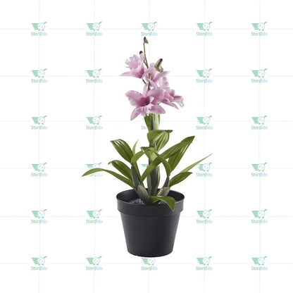 IKEA : FEJKA : Artificail Potted Plant - Noble Dendrobium