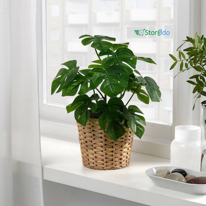 IKEA : FEJKA : Artificial Potted Plant In Out Door - Monstera