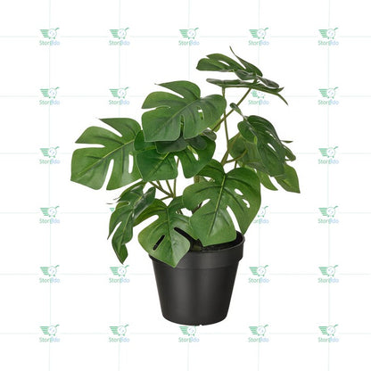 IKEA : FEJKA : Artificial Potted Plant In Out Door - Monstera