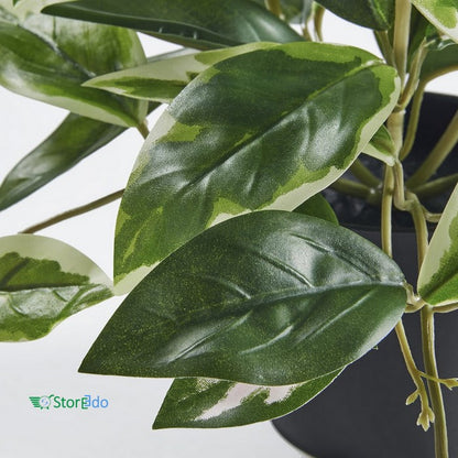 IKEA : FEJKA : Artificail Potted Plant - Wax