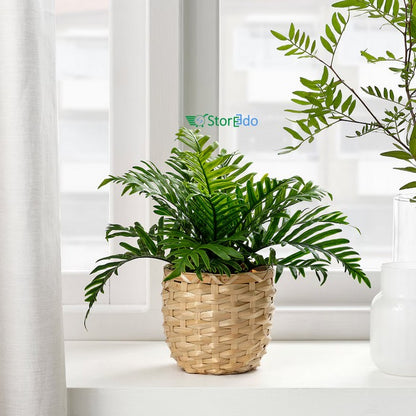 IKEA : FEJKA : Artificial Potted Plant - Whitley Giant