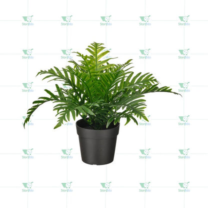 IKEA : FEJKA : Artificial Potted Plant - Whitley Giant