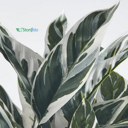 IKEA : FEJKA : Artificial Potted Plant -Calathea