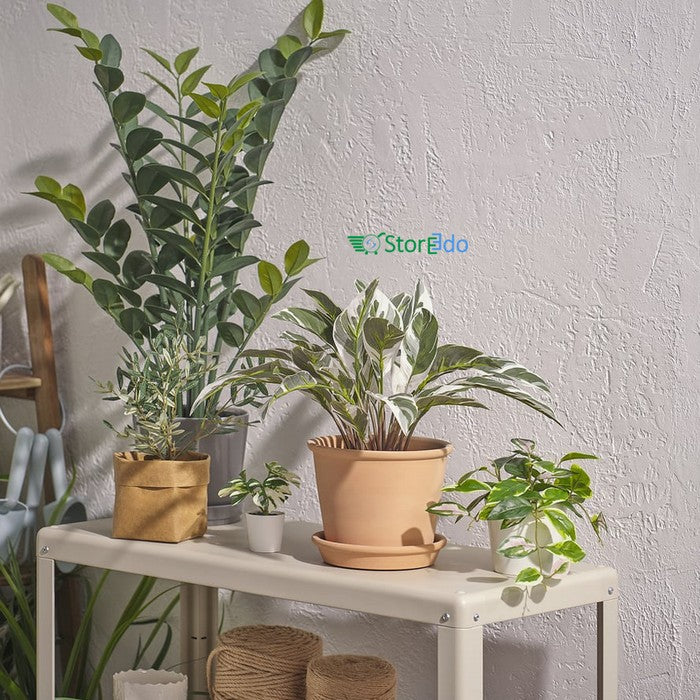 IKEA : FEJKA : Artificial Potted Plant -Calathea