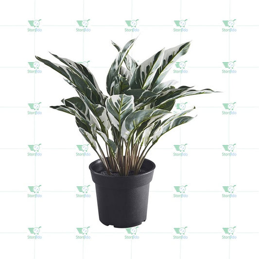 IKEA : FEJKA : Artificial Potted Plant -Calathea