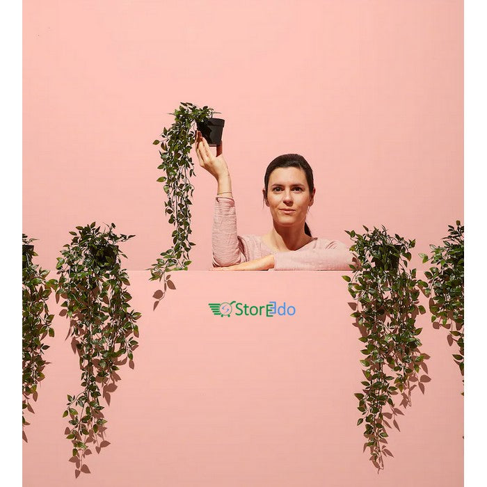 IKEA : FEJKA : Artificial Potted Plant - Hanging