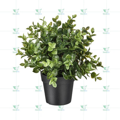 IKEA : FEJKA : Artificial Potted Plant - Oregano