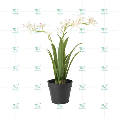 IKEA : FEJKA : Artificial Potted Plant - Orchid
