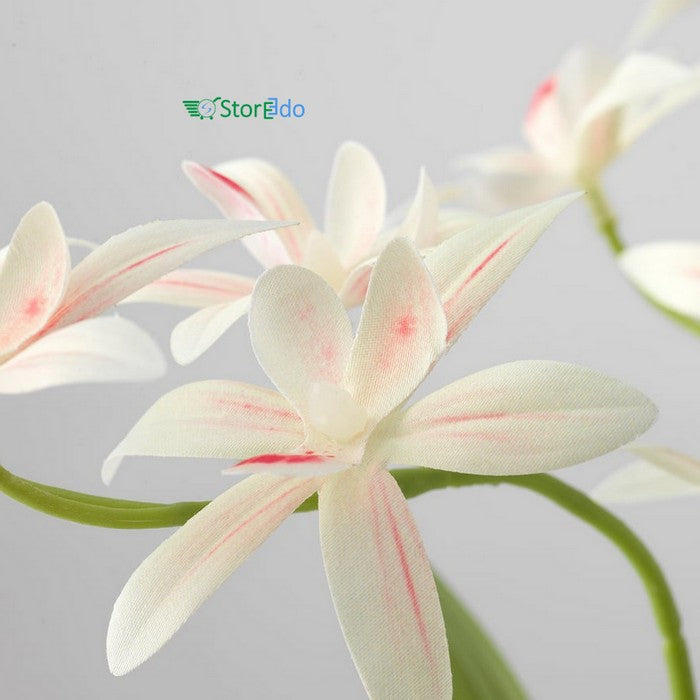 IKEA : FEJKA : Artificial Potted Plant - Orchid