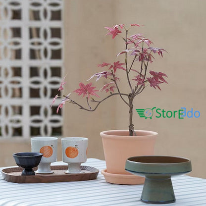 IKEA : FEJKA : Artifical Potted Plant - In/Outdoor Maple