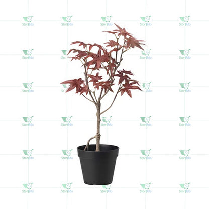 IKEA : FEJKA : Artifical Potted Plant - In/Outdoor Maple