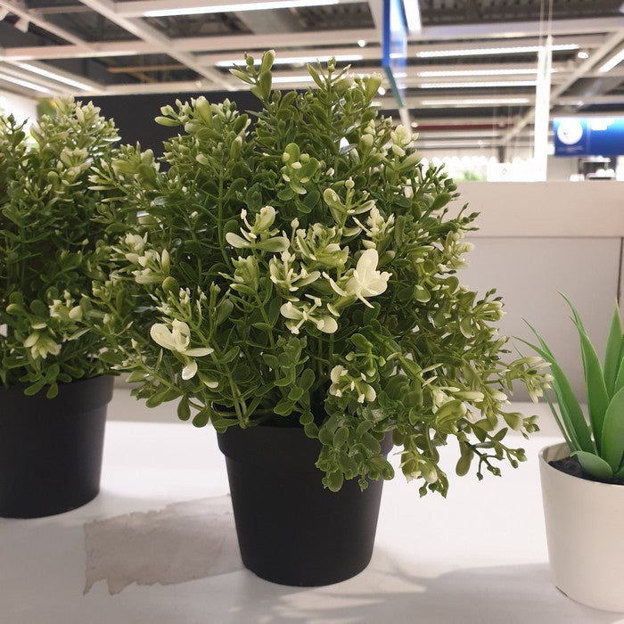 IKEA : FEJKA : Artificial Potted Plant - Thyme