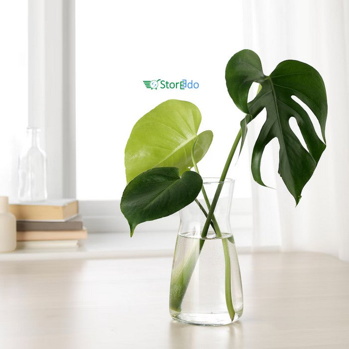 IKEA : KARAFF : Carafe