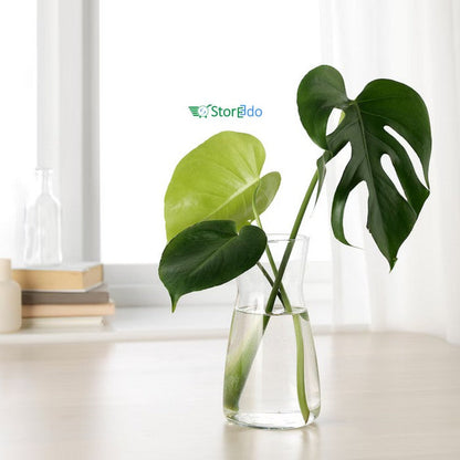 IKEA : KARAFF : Carafe