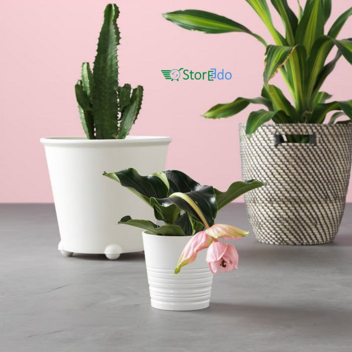 IKEA : MUSKOT : Plant Pot